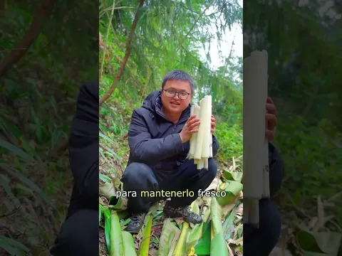 banana tree heart#fyp #tiktok#foryoupage #knowledge #amazing árbol de plátano