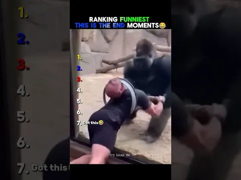 Funniest “This Is The End” Moments Ranked 😂