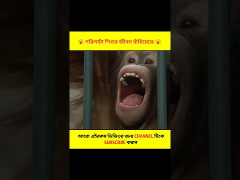 গরিলাটা শিশুর জীবন বাঁচিয়েছে 😮 || #short