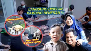 BUMIL NGIDAM DAGING KAMBING | AZMANNIS