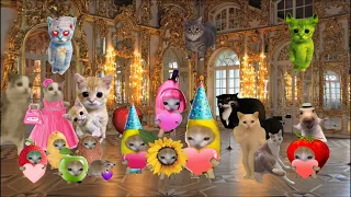 Banana Cat Celebrates 1M Subscribers Milestone 🎉🥳