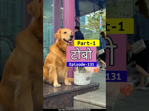 🐕 टोबो फूल बेचने वाला 🌹