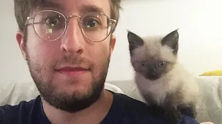Este gato es un comediante nato: mira cómo hace reír a todo el mundo