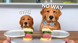 Dog Reviews Food With Little Brother | Tucker Taste Test 21