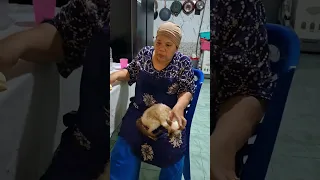 KUCING PENUH KUTU PART 2 !!!