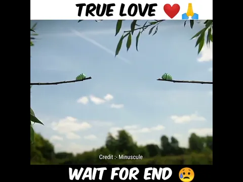 Wait For End 😂 सच्चा प्यार ll #shorts#ytshorts