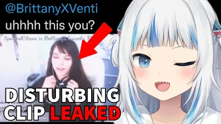 Brittany Venti Exposed After Slandering Gawr Gura AGAIN