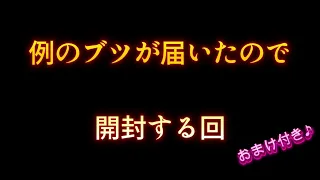 例のブツが届いたので開封する回。（おまけつき）