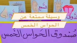 الحواس الخمس للاطفال  نشاط و عمل فني Five senses idea