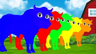 PINTA E LIMPA BOI DA CARA PRETA 🐂🎨| APRENDENDO AS CORES 🎨| LEARN COLOR 🎨| Pinta y Limpia Colores🖌️🎨