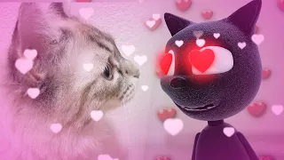 Cartoon Cat VS Real Cat in Real Life