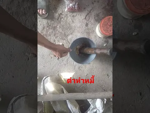 ตำขะหนุน
