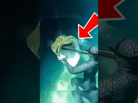 ANIMALES que dejaron a los humanos sin reacción
