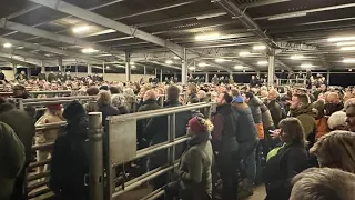 My thoughts on last nights meeting. Saving our family farms #farming #food #protest #supportfarmers