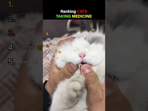 Ranking Cats Taking Medicine