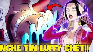 NẾU BOA NGHE TIN LUFFY CHẾT?! | GIẢ THUYẾT PHẢN ỨNG MỌI NGƯỜI NẾU NGHE TIN LUFFY CHẾT