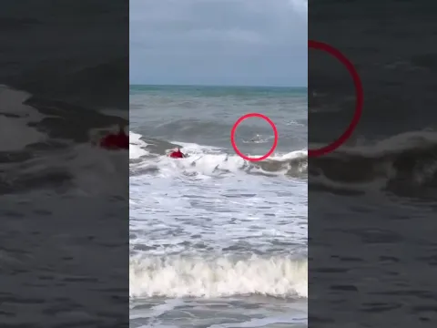 Life Guard Rescues a Young Guy At The Beach