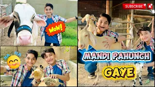 aaj cattle 🐄 farm gaye bara maza agya ||chotebhaibadebhai02￼