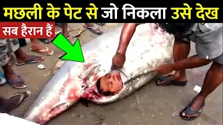 मछली के पेट से क्या निकला? A Fisherman Caught Fish And Got Surprise || ALLAHU AKBAR