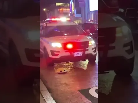 🐢💥 tortuga vs Policía 👮🏾#EseMajeEngasado #MiniVideitosEngasados #LaCarpetaDeLosVergazos