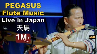 Flute | Flute Music | Flute Song | Bansuri | Basuri Dhun | Instrumental Flute Music Live in Japan 4k