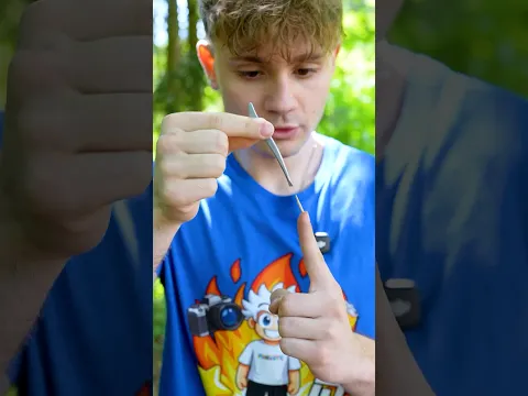Jak Bezpečně Odstranit Třísku?