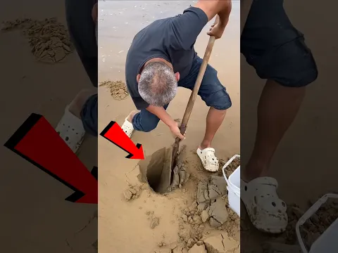 You Won't Believe What He Found Buried in the Sand! #shorts