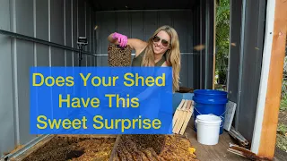 I Cut This Shed In Half