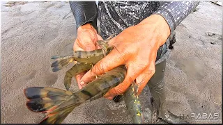 EP401-Part 1 - Sugpo at Bangus | Occ. Mindoro