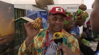 CASO PAU DE CABINDA ED