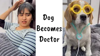 Dog becomes Doctor (@ruchi_romeo )