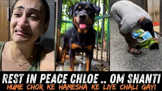 We Lost Her Forever 🥹 Rottweiler Chloe Leaves For Her Heavenly Abode 🙏🙏🙏