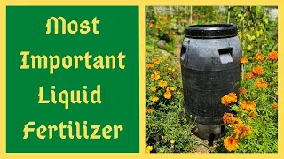 If You Only Make ONE Fertilizer Make It THIS ONE - Here's EXACTLY What Your Plants Need - JADAM JLF