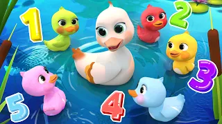 Quack, Quack, Colors! 5 Little Ducks Song | Lalafun Nursery Rhymes & Kids Songs