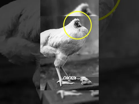 These creatures faced death but lived — and the last one is insane 😨