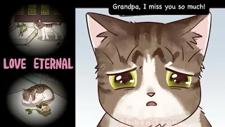 Love Eternal #cat #shorts #animation