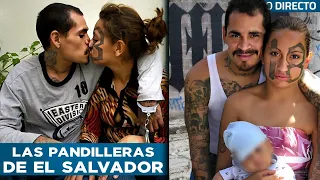 De Víctimas A Verdugos: La Realidad De Las Mujeres Pandilleras De El Salvador - Testigo Directo