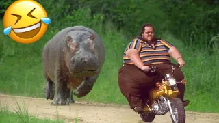 SI TE RÍES PIERDES NIVEL DIOS 🤣😇 [ 999.999 IMPOSIBLE NO REÍRSE]😳 Videos De Risa Muy Graciosos 2024 😆