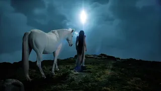 Noah Cyrus - XXX (Feat. Bill Callahan) (Official Visualizer)