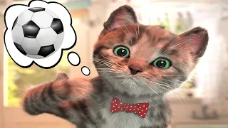 FUN LITTLE KITTEN ADVENTURE- Little Kitten Adventures - Play Fun Cute Kitten Pet Care Learning #9