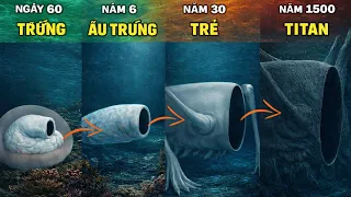 Hành Trình Của Con Quái Vật Ăn Biển SEA EATER quaivat #jpmain #seaeater