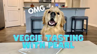 My dog tries 5 vegetables and rates them! #asmr