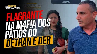 FLAGRANTE NA M4F1A DOS PÁTIOS DO DETRAN E DER | DELEGADO PALUMBO