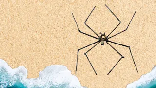 How To Make Metal Spider - Blacksmithing | Indepedent craft Ideas | METALWORKING PROJECTS
