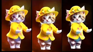 Cat videos funny dance 💃😻😂 Videos for catsv#funnycats #catlovers #dancingcat @furry-cornerz