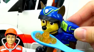 Les meilleures aventures de chiots jouets. Compilation avec jouets