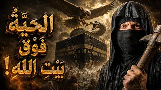 الطائر الذي خطف الحية من فوق الكعبة… ثم ظهر قدر محمد الأمين ﷺ