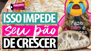 Os 9 problemas mais comuns dos pães de fermentação natural que não crescem no forno