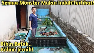 SEMUA IKAN MONSTER BALIK KE KOLAM! KURAS KOLAM TERNIAT SAMPE TENGAH MALAM