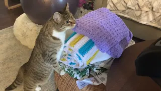 When Minnie first met the baby